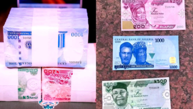 the-nigerian-currency-lost-10%-of-its-value-in-2022-–-world-bank