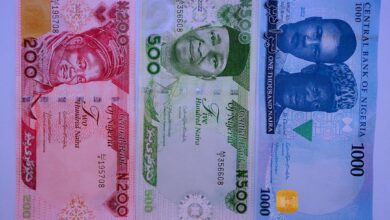 no-plan-to-withdraw-redesigned-naira-notes-from-circulation-–-cbn