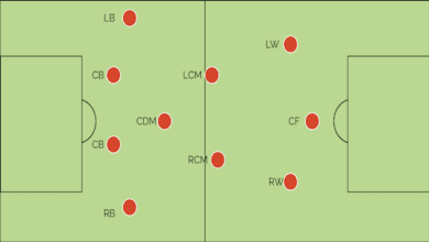the-evolution-of-football-tactics:-a-statistical-look-at-the-4-3-3-formation