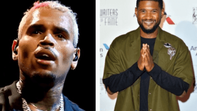 chris-brown, usher in-violent-scuffle