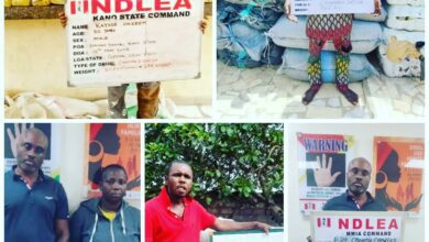 ndlea-intercepts-uk-bound-meth-worth-n.5bn,-arrests-suspect