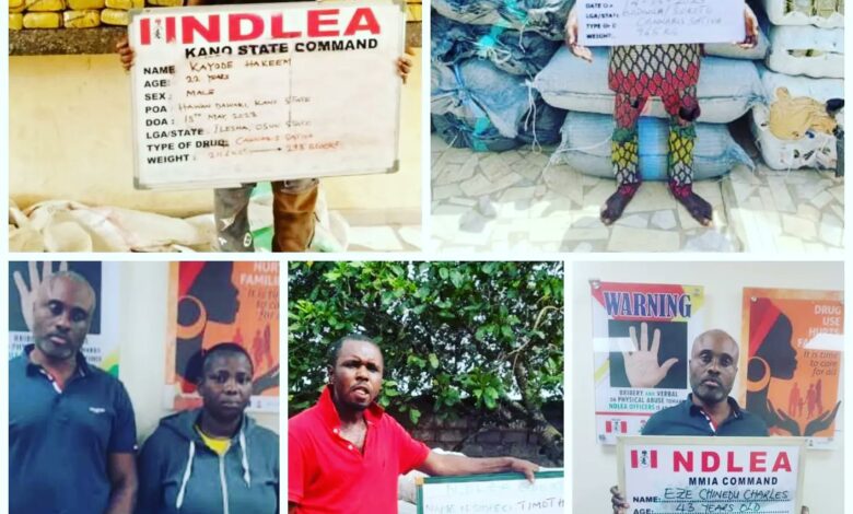 ndlea-intercepts-uk-bound-meth-worth-n.5bn,-arrests-suspect