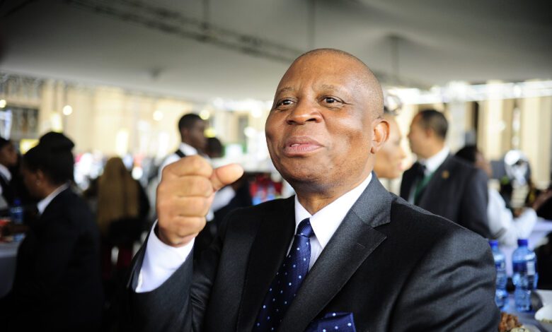 publisher-withdraws-herman-mashaba-biography