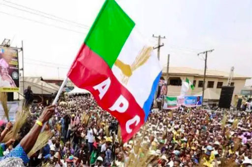 10th-nass:-apc-north-central-stakeholders-fault-zoning-arrangement