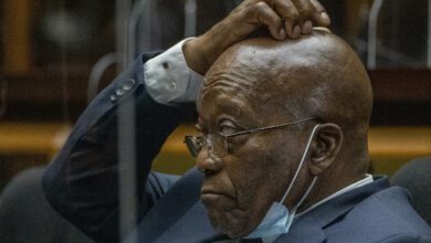 high-court-halts-zuma’s-prosecution-of-downer-and-maughan