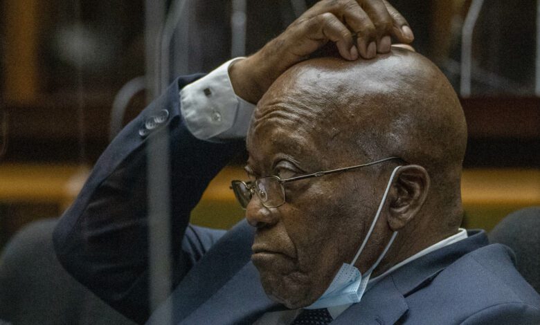 high-court-halts-zuma’s-prosecution-of-downer-and-maughan