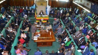 lack-of-information-impedes-uganda’s-agricultural-sector-and-export-success