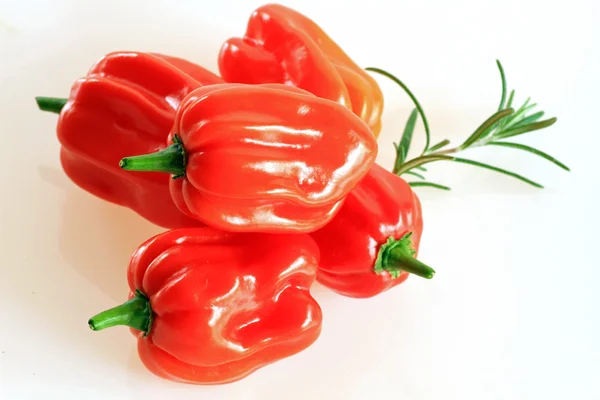 is-habanero-another-name-for-scotch-bonnet-or-is-it-a-different-pepper-specie?-find-out