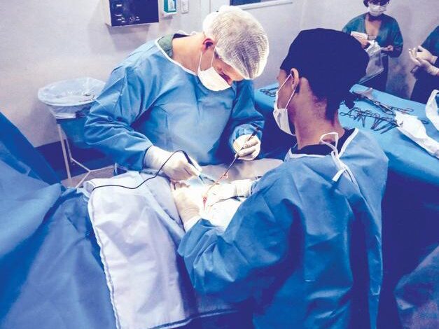 10-organs-and-tissues-that-can-be-transplanted