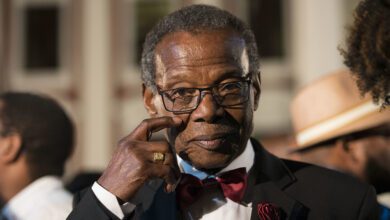 buthelezi-poisoning-claims-suggest-lost-influence-over-zulu-monarchy
