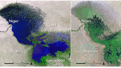 world-bank-approves-$1bn-to-improve-security-in-lake-chad-region