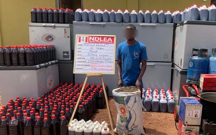 ndlea-destroys-drug-factory-in-ogun,-arrest-suspect