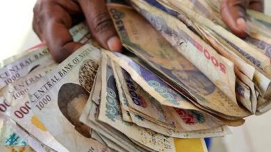 the-nigerian-currency-experienced-its-largest-daily-gain-since-2019