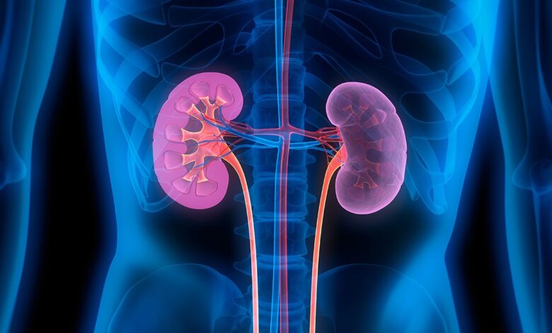 one-out-of-seven-nigerians-suffering-from-kidney-failure-—-nephrologist-raises-alarm