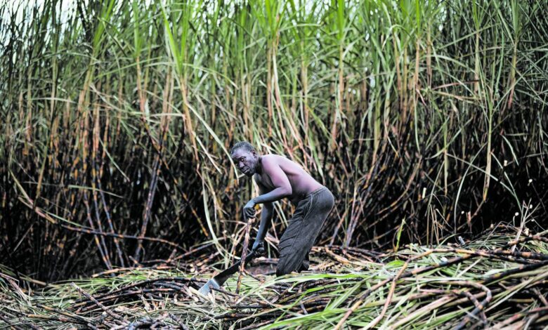 small-scale-sugarcane-farmers-welcome-potential-sale-of-tongaat-hulett