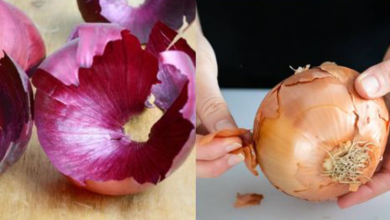 think-twice-before-throwing-away-onion-and-garlic-skins:-here’s-why-i’ll-never-discard-them-again!