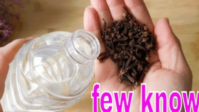 amazing-results:-combining-cloves-and-white-vinegar-for-cleaning