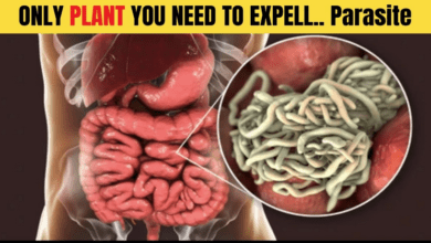 expel-all-worms-and-parasites-with-this-simple-2-ingredient-remedy