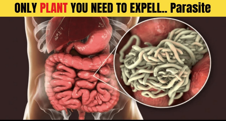 expel-all-worms-and-parasites-with-this-simple-2-ingredient-remedy