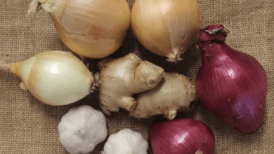 the-secret-health-benefits-of-combining-onion,-garlic,-and-ginger-in-an-airtight-container