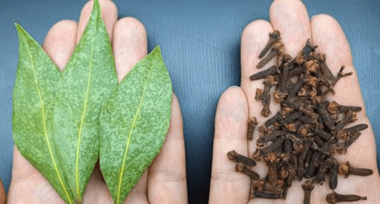 mix-bay-leaf-and-clove-together-and-you-will-thank-me-for-this-recipe!