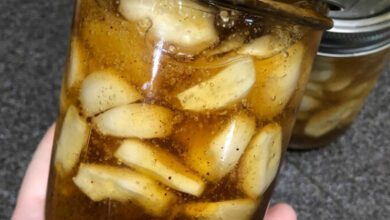 boost-your-immune-system-with-garlic-infused-honey-(recipe)