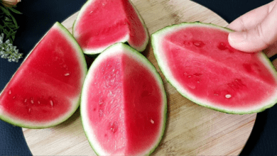 cleanse-your-kidneys,-liver,-and-lungs-with-watermelon:-a-natural-bacteria-kil:ler