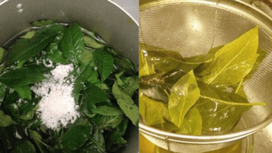 the-amazing-benefits-of-lemon-leaves:-nature’s-unsung-hero