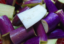 eggplant-is-nutritious-but-not-everyone-knows-how-to-eat-it.-what-should-you-pay-attention-to-when-eating-eggplant?