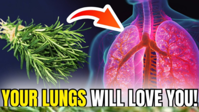 chew-it-to-dissolve-mucus-–-your-lungs-will-love-you:-rosemary!