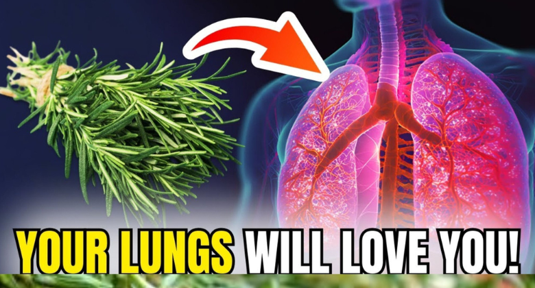 chew-it-to-dissolve-mucus-–-your-lungs-will-love-you:-rosemary!