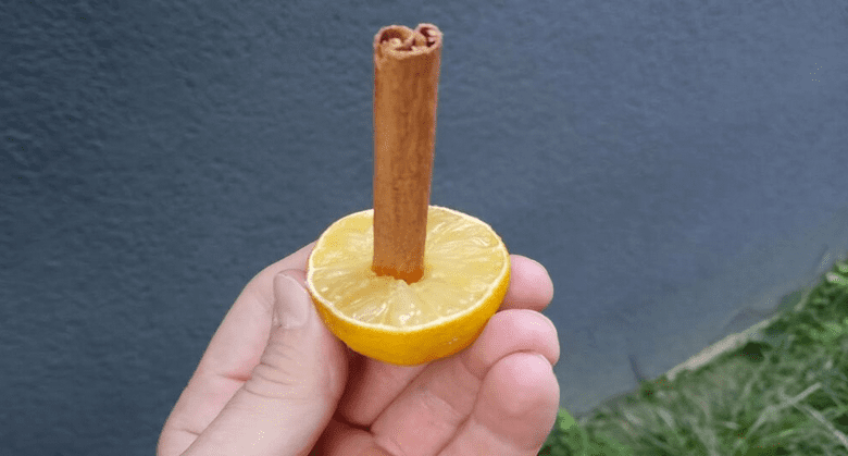 just-stick-cinnamon-in-lemon!-discover-this-miracle-for-your-home