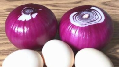 blood-sugar-drops-significantly-with-egg-and-onion:-a-simple,-natural-remedy-for-better-health