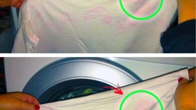 how-to-remedy-white-items-that-have-become-pink-after-a-bad-wash