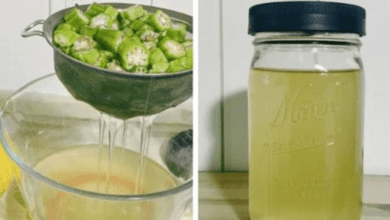 7-amazing-health-benefits-of-okra-water-you-need-to-know-