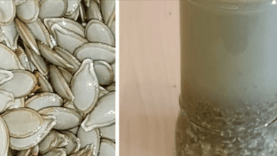 famous-doctor-recommends:-pumpkin-seeds-in-water-to-combat-parasites