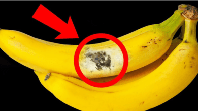 what-will-happen-if-you-eat-a-banana-that-already-has-spots?-bad-or-good?