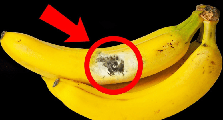 what-will-happen-if-you-eat-a-banana-that-already-has-spots?-bad-or-good?