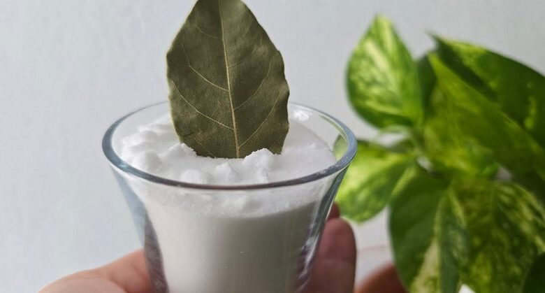 put-a-bay-leaf-in-baking-soda-and-you-will-be-completely-delighted!