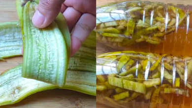 the-magic-of-banana-peel-liquid:-a-zero-waste-solution-for-your-home-and-garden