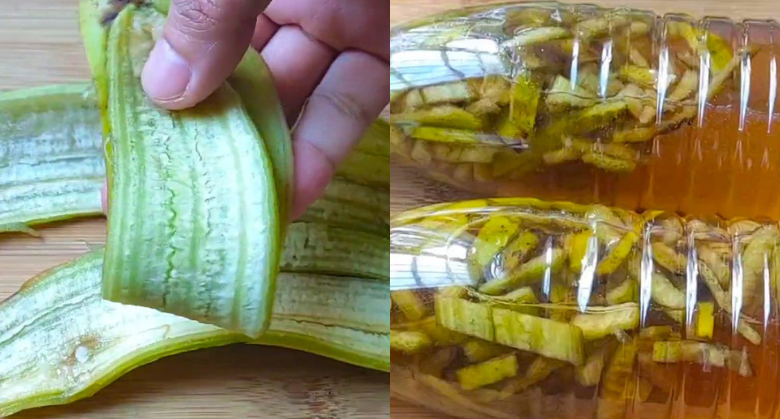 the-magic-of-banana-peel-liquid:-a-zero-waste-solution-for-your-home-and-garden