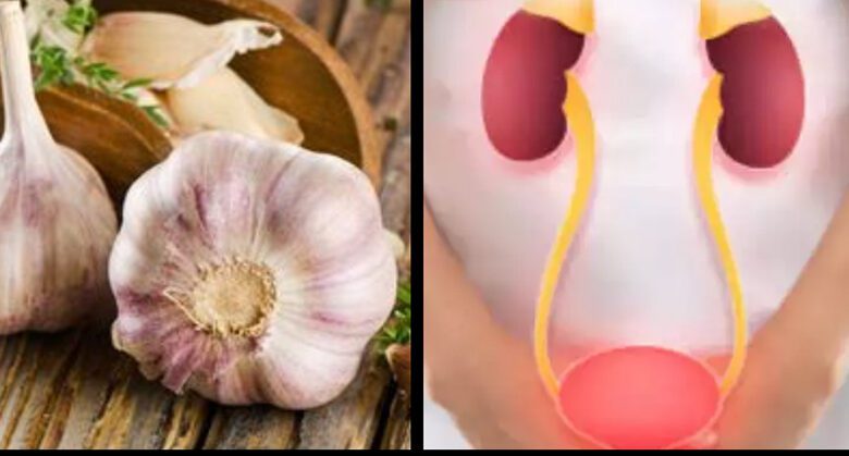 garlic-eliminates-urinary-system-infections!-just-do-this…