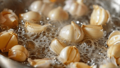 boiling-garlic-for-natural-plant-protection:-a-simple-diy-solution