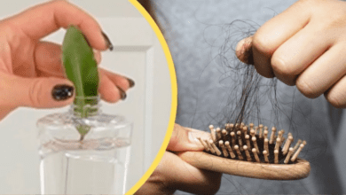 put-bay-leaves-in-shampoo-–-it-will-stop-hair-loss-naturally!