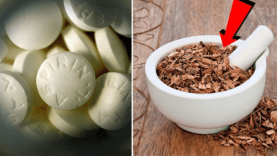 the-aspirin-alternative-your-doctor-never-told-you-about:-cloves