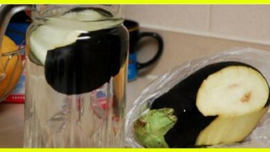 how-to-lose-belly-fat-with-eggplant-water