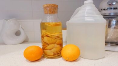 diy-citrus-cleaner:-making-use-of-lemon-and-orange-peels