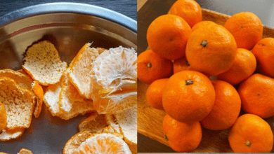 boil-mandarin-peels:-a-powerful-remedy-many-times-stronger-than-the-pulp