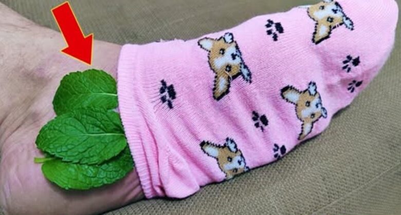 the-miraculous-benefits-of-mint-leaves-for-your-feet