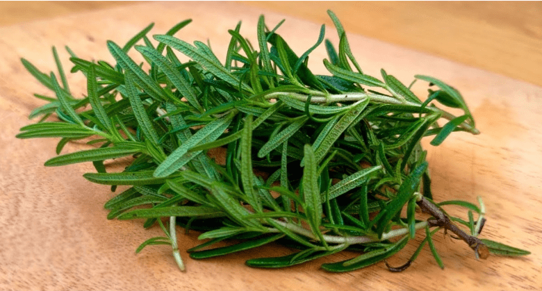 rosemary:-a-potent-bacteria-remover-and-intestinal-cleanser